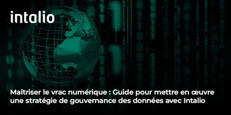 Maîtriser le vrac numérique : Guide pour mettre en œuvre une stratégie de gouvernance des données avec Intalio