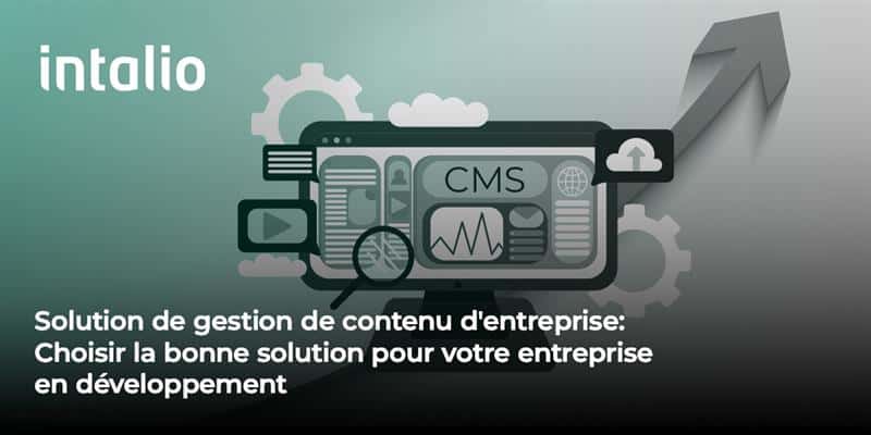 Solution de gestion de contenu d'entreprise : Choisir la bonne solution pour votre entreprise en développement